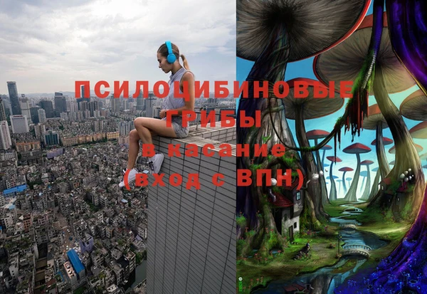 кокс Бородино